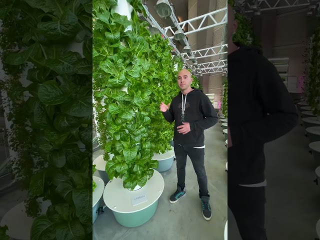 Advantages of growing on an aeroponic Tower Garden