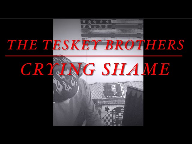 CRYING SHAME - The TESKEY Brothers - Vocal Cover by JerZ