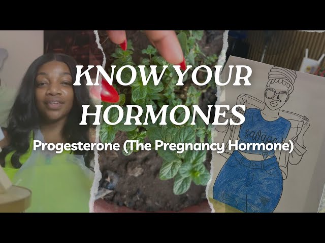 HORMONES 104: All you need to know about the Progesterone hormones