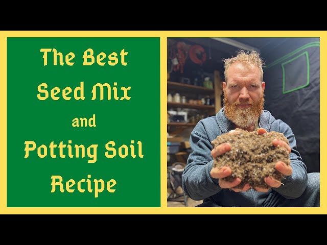 My Secret Soil Recipe: The BEST Mix for Seed Starting AND Potted Plants!