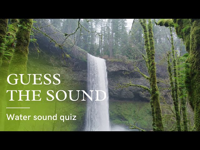 Guess the Sound | Guess water sounds | Water sounds Quiz