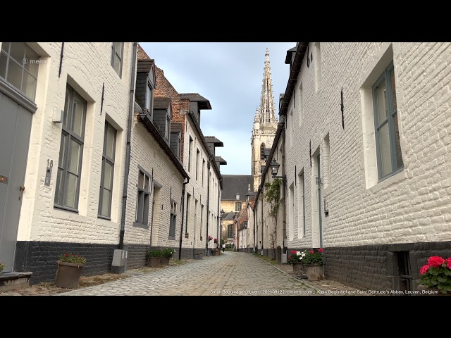 Small Beguinage Leuven | 20210912