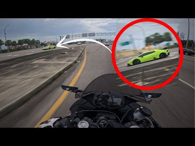 ZX6R Goes Car HUNTING