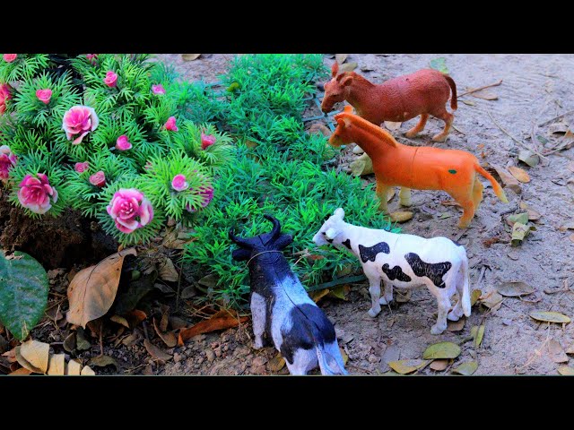 mini tractor, matikata, horses, cartoon, gadi videos, cattle, hamba, tractor, | Feb 5, 20259:11 AM