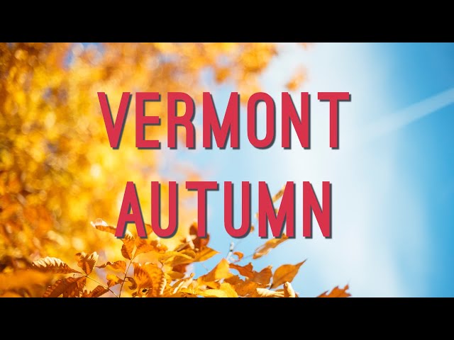 Fall Foliage Cinematic