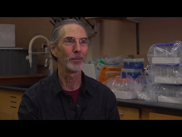 'A genetic cure': Iowa State scientists make first-of-its-kind DNA discovery