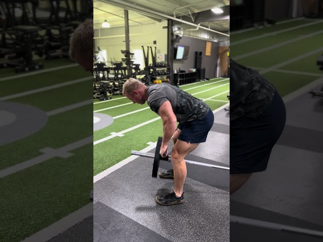 Landmine T-bar Row