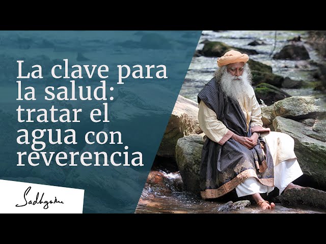 La clave de la salud: tratar el agua con reverencia │Sadhguru