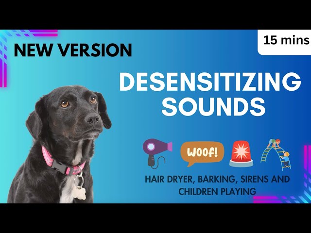 Desensitizing Sounds Hair Dryers, Barking, Sirens, Children Playing Overcome Reactive Dogs