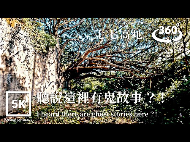 5K 360 VR Taiwan Walk 七七高地 77 Heights Hualien Asmr Amateur Ambience Built Environment Flaneur