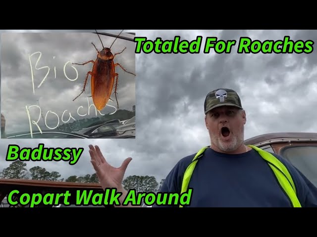 Car Was Totaled For Roaches, Copart Walk Around