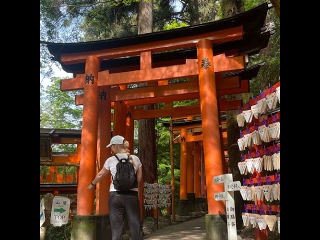 The Surprising Tranquility of Fushimi Inari Shrine