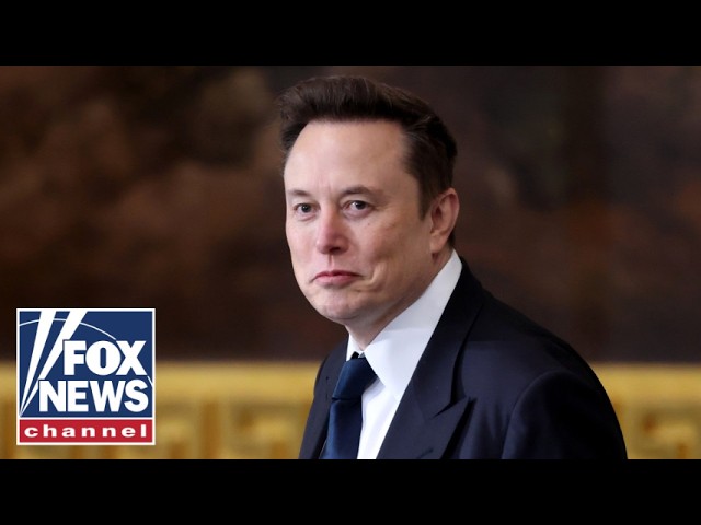 Dems wail over Elon Musk's DOGE efforts: 'No one elected' him!