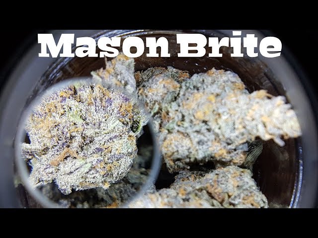 "Mason Brite" Stash Jar Lid Review