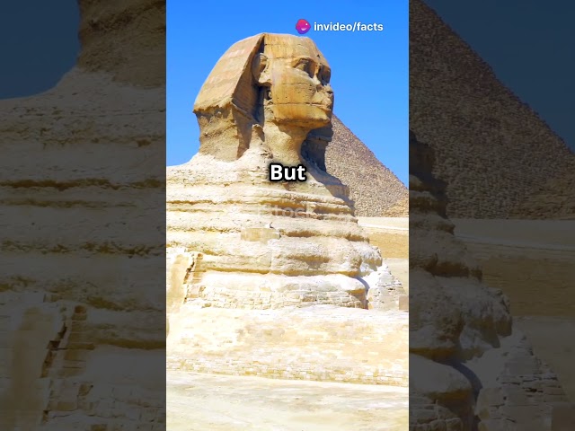 Uncovering the Sphinx: Secrets Revealed!