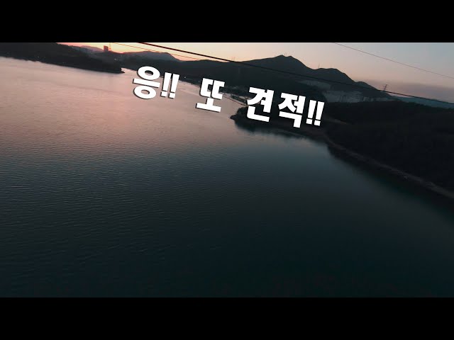 DJI FPV M 모드 날리다가 전깃줄에 부딪혔어요... (4K UHD)