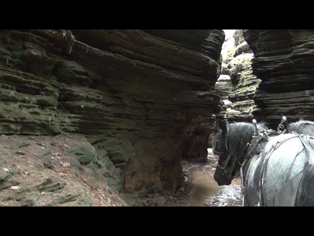 PSVR 3D WISCONSIN DELLS, WISCONSIN Lost Canyon Tour