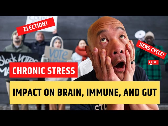 How Stress Wreaks Havoc on Your Brain, Immune System, and Gut Health Dr. Peter Kan