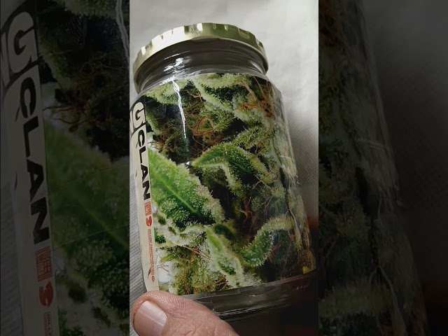 Custom cannabis jar