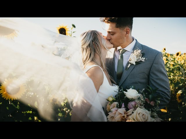 The Shocking Truth About Why I Quit Filming Weddings