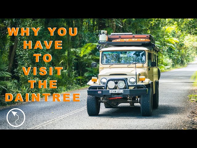 Cairns to Cape Trib Road Trip: Discovering Tropical North Queensland - An Unforgettable Journey