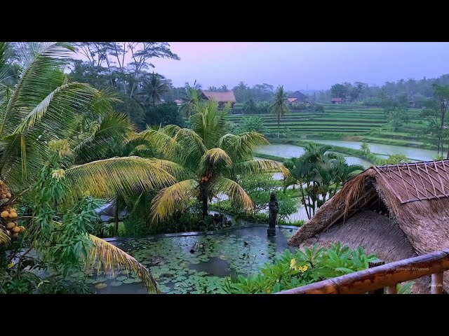 Rain Sounds for Sleep and Relaxation | Rain Sounds for Sleeping - Studying - Relaxing