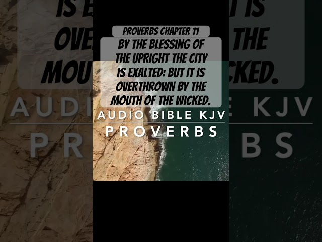 Bible Prov. 11:11-12 - By the blessing of the upright the city is exalted #Shorts #Bible #Bibleverse