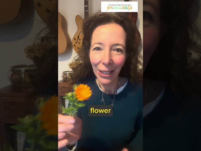 💬😉#howtosay flower, flour #homophones #fluentenglish. Better #pronunciation https://bit.ly/jdep 🚀