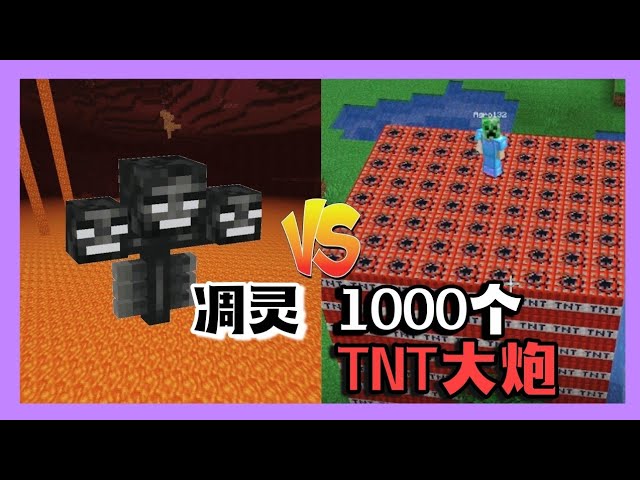 Minecraft 麥塊/我的世界但是 凋灵 VS 1000 TNT大炮