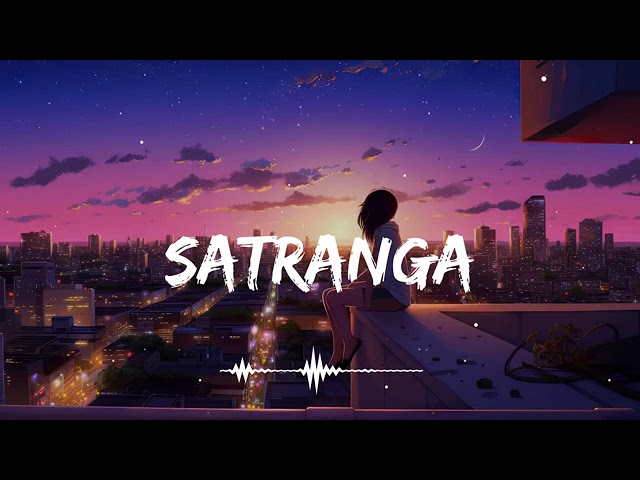 Satranga - Lofi Mix | Slowed + Reverb | Arijit Singh | Animal | lo-fi music