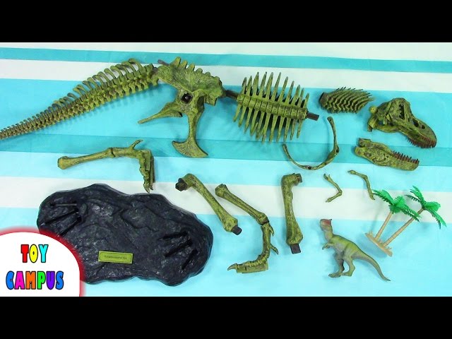 Dinosaur 3D Model Building Kit Jurassic World Tyrannosaurus Rex Velociraptor | ToysReview ToyCampus