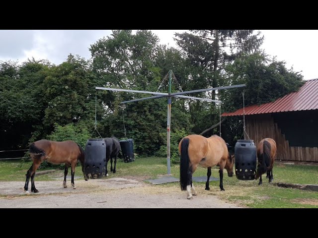 Heukarussell im Vergleich Bodenfütterung