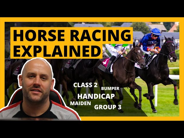 Horse Racing Types, Groups and Classifications Explained (Full Guide) by Caan Berry