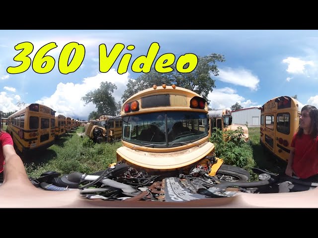 School Bus Graveyard (360° Video)