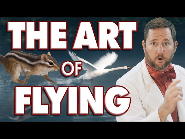 The Art of Flying: Mastering Aircraft Control