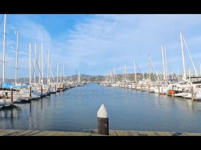 Sausalito Harbor | San Francisco, CA | 360 Travel Video