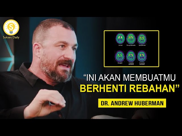 Jika Kamu Merasa Malas dan Tidak Termotivasi, DENGARKAN Ini Baik-Baik. Andrew Huberman Sub Indonesia