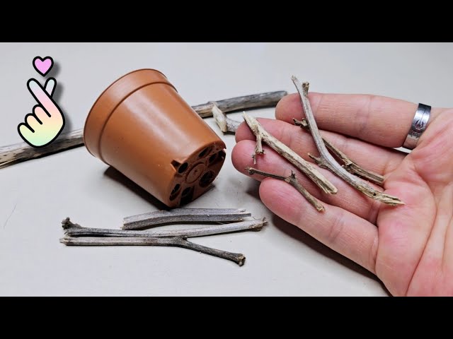 Tiny Dried Tree Branches and Tiny Flower Pot!♻️ Great Idea🥰