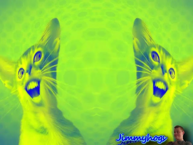 Preview 2 Numa Cat Effects Effects in El