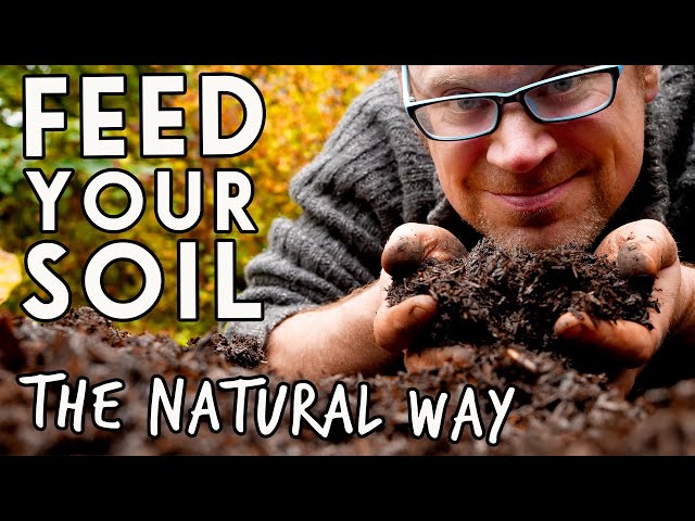 3 Ways to Build Soil Health💛