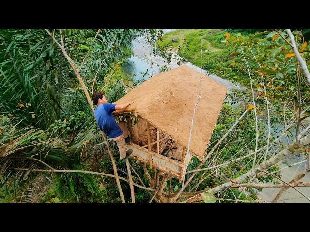 3 Days to Build a Luxurious Tree House, Camping Group Makes a Tree House in the Forest