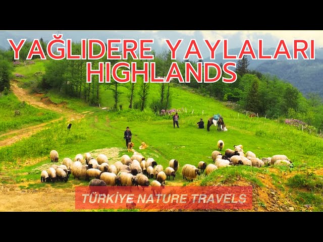 2010 Yılı Giresun-Yağlıdere Günlük/Sırataş/Karadoğa/Geyikçi Yaylaları🌲Yıl 2010. Highlands🌲. 4K. HDR