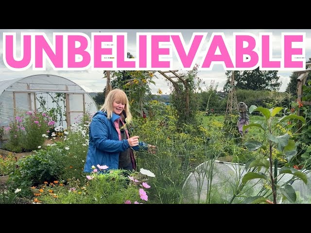 September Veg Garden Tour | It’s Still a Jungle!