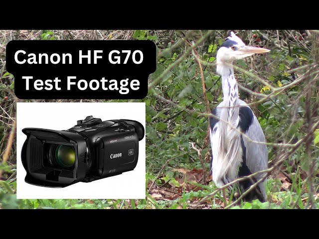 Canon HF G70 -Test Footage 4K