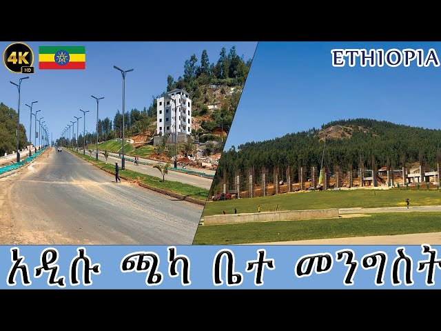 አዲሱ ጫካ ቤተ መንግስት ያልታዩ አስገራሚ ቦታዎች | Addis Ababa Walking Tour | #addis_ababa #ethiopia #africa