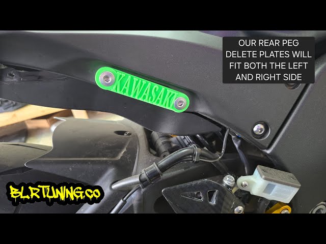 KAWASAKI ZX10R and ZX10RR REAR PEG DELETE PLATES AND EXHAUST HANGER