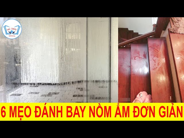 6 Mẹo Giúp Đánh Bay Nồm Ẩm 1 Cách Đơn Giản | TRI THỨC Official