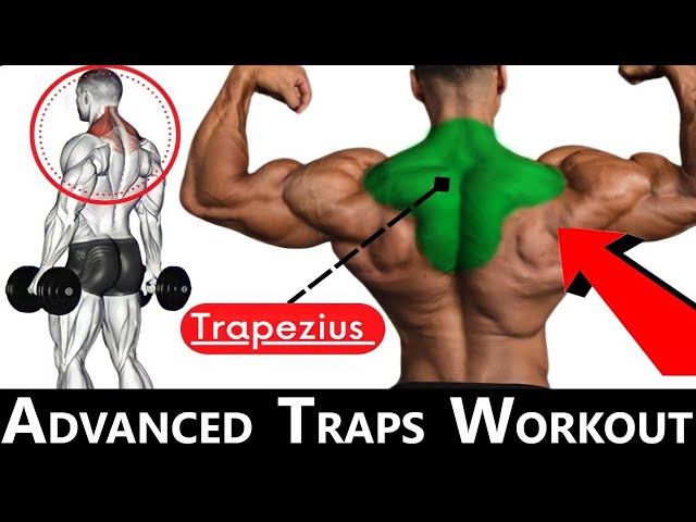 ADVANCED TRAPS WORKOUT  MUSCLE BUILDING WORKOUT  TRAPS WORKOUT AT GYM