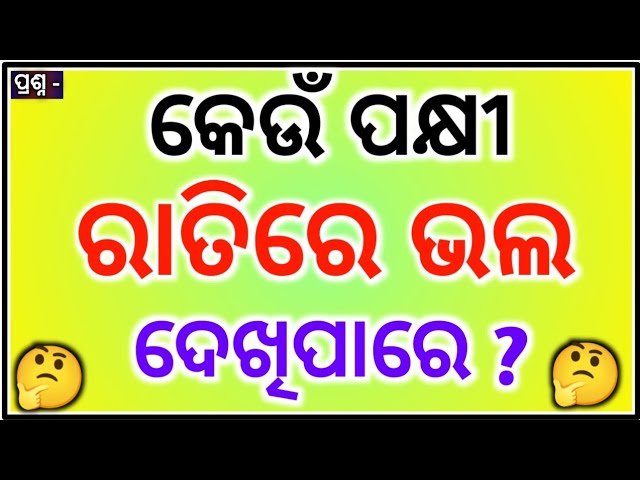 Odia Dhaga Dhamali IAS Questions | Clever Q & Ans | Odia Dhaga katha | Odia Gk |Odisha Education 360