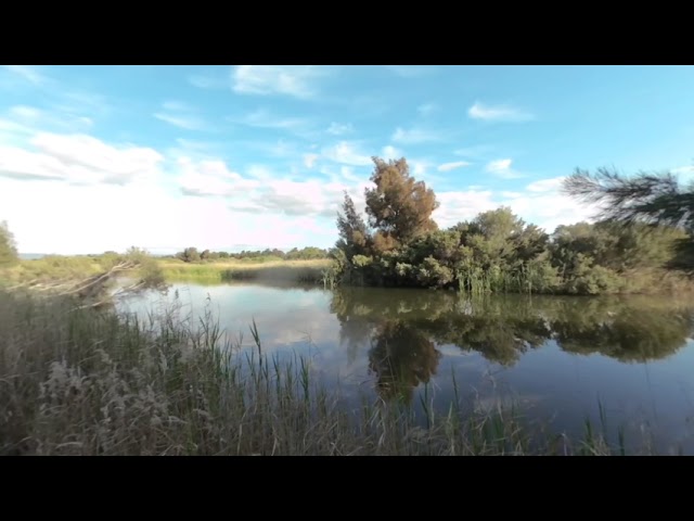 Barker Wetlands, Wingfield - Port Adelaide Enfield VR